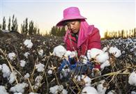 Big support funds for Xinjiang's development in 2018