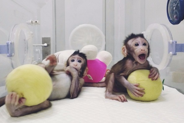 China cements place in scientific elite