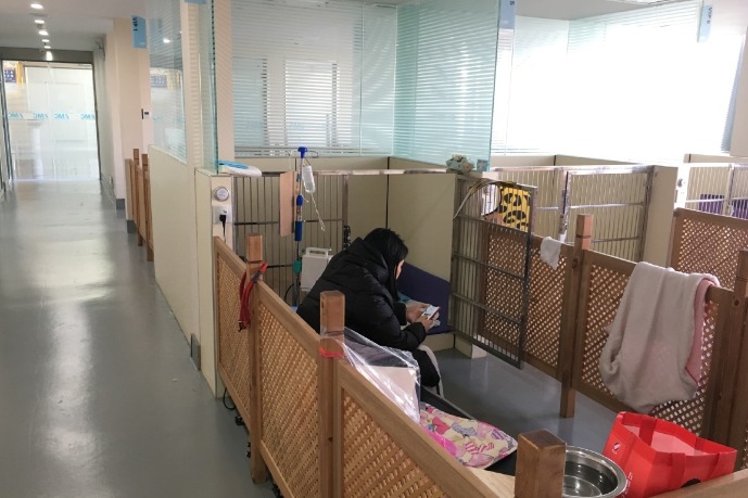 Owners can pamper sick pets overnight at Nanjing animal hospital