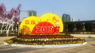In pics: 800,000 pots of flowers decorate Ningbo for New Year