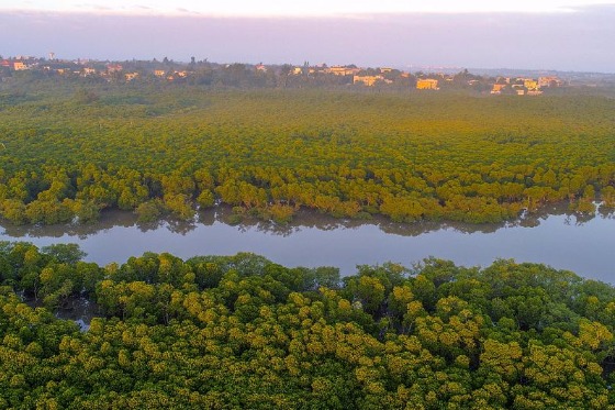 Hainan seeks to create a world-class zone of ecological civilization