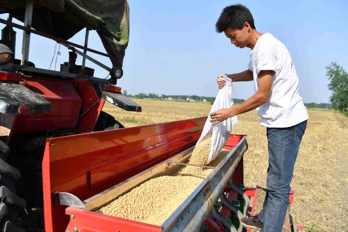 Chinese farmers use new methods as agriculture goes automated
