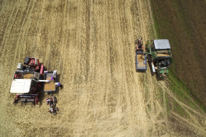 China to develop over 5 mln hectares of high-standard farmland