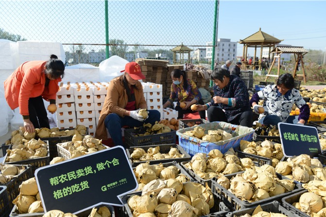 Online retail sales soar in China's rural areas