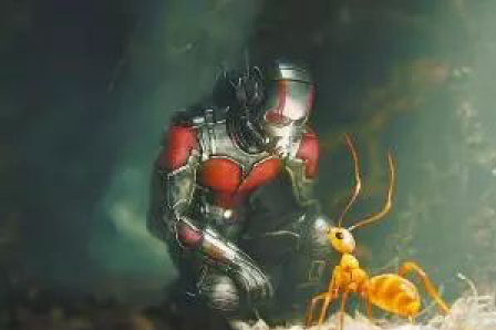 Chinese scientists find 'ant-man' genes to regulate size of mice