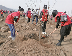 Volunteers plant trees in rural Yuncheng