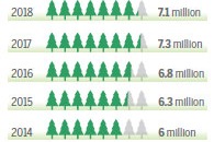 Afforestation projects succeed in greening up China