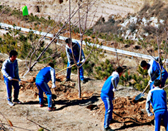 Shanxi province launches voluntary tree planting event