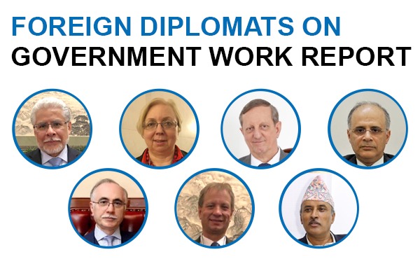 Foreign diplomats on government work report