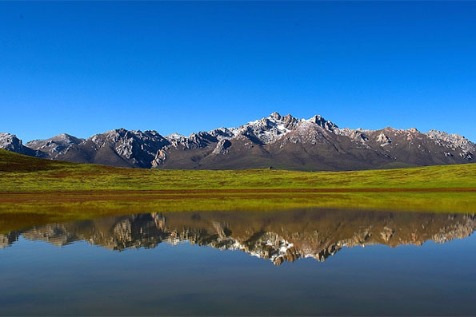 Vegetation cover in Sanjiangyuan National Park increasing