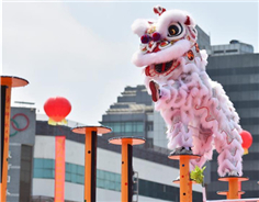 Guilin hosts intl lion dance competition