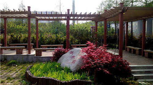 青岛第十六中学 (2).jpg