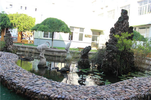 青岛第五十三中学 (2).jpg