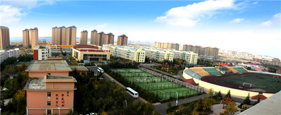 青岛求是职业技术学院 (2).jpg