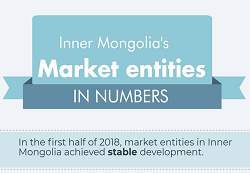 Infographics: Inner Mongolia's market entities in numbers