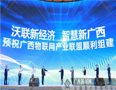 Guangxi event promotes local IoT industry