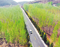 Cycling tracks connected in Taiyuan