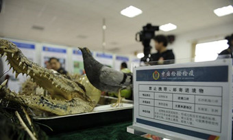 What should I not bring to China?