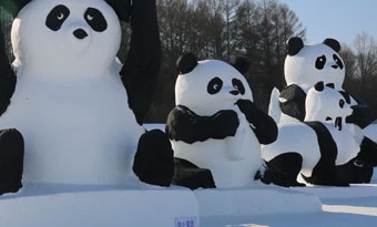 Panda ice sculptures bring cuteness to cold weather in NE China