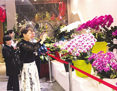 Shanxi horticulture attracts the crowds in Beijing