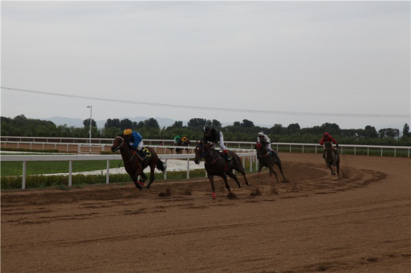 Jockeys compete during a horse racing competition in Hohhot, Inner Mongolia autonomous region, July 7.png