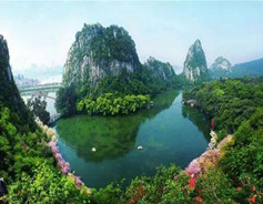 Guangxi sees expanding forest coverage