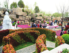 Beijing horticulture expo launches Shanxi Day