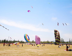 Kite festival opens in Huairen county