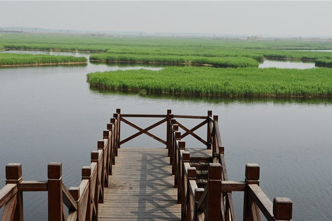 Qilihai wetland natural reserve