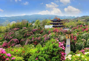 Guizhou scenic spots honored in Cannes, France