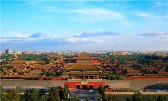 The Palace Museum 