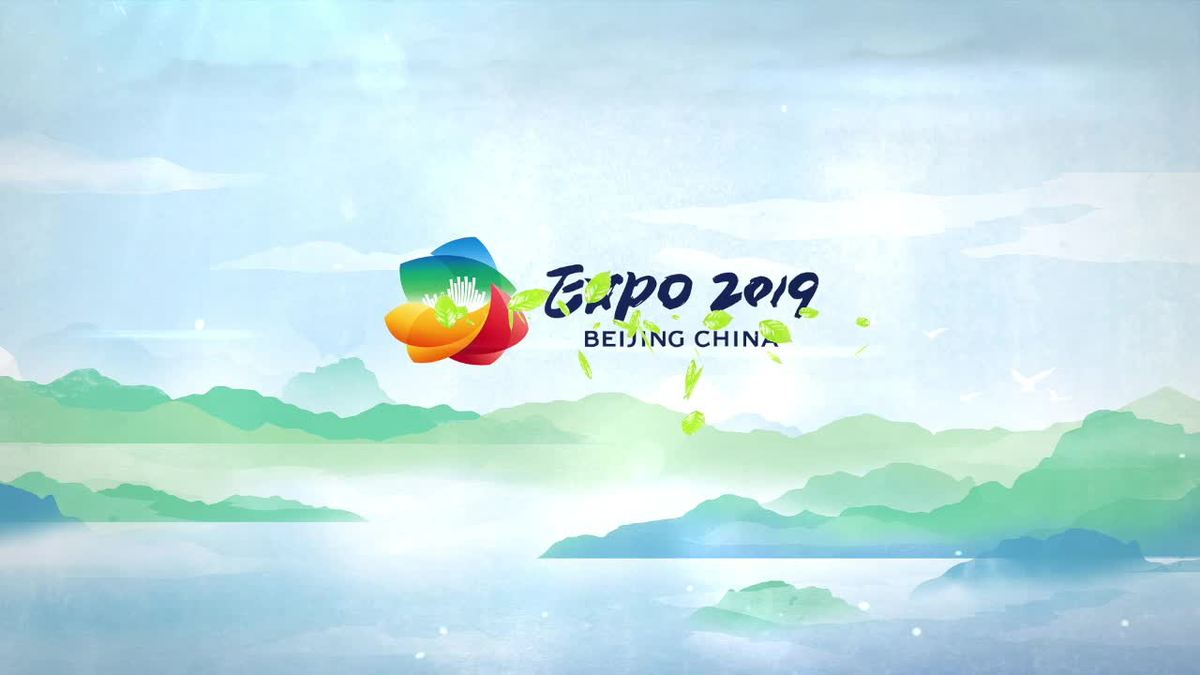 Expo 2019 Beijing volunteers: 'We are ready!'