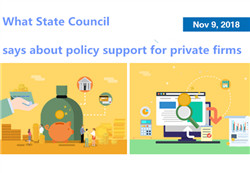 What State Council says about policy support for private firms