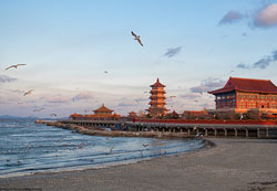 144-Hour Visa-free Tour in Shandong