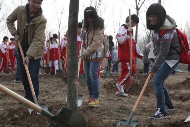 Beijing continues forestation efforts