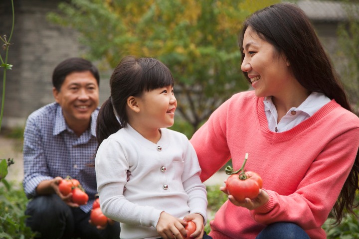 家庭寄养评估标准 (jiātíng jìyǎng pínggū biāozhǔn): Family foster care assessment standards