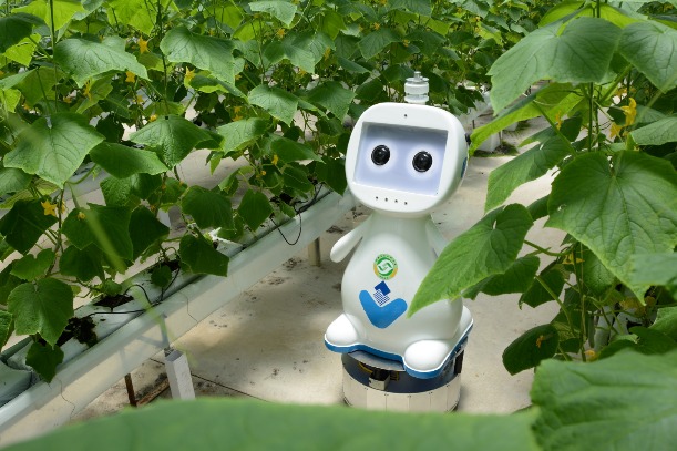 5G-enabled farming robot launched in East China