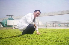 Zhanjiang professor promotes green roofs