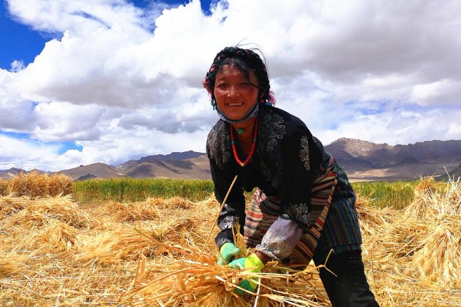 Tibet gets staunch support in battle against poverty