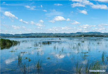 Caohai Lake in China's Guizhou recovers original size
