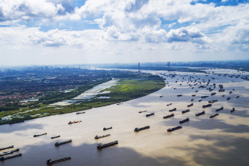 New group aims for restoration of Yangtze