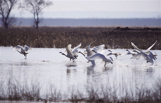 res04_attpic_brief (1).jpg