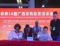 Guangxi promotes economic and trade cooperation with Africa