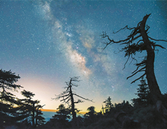 Starry night over subalpine meadow mesmerizes photographers