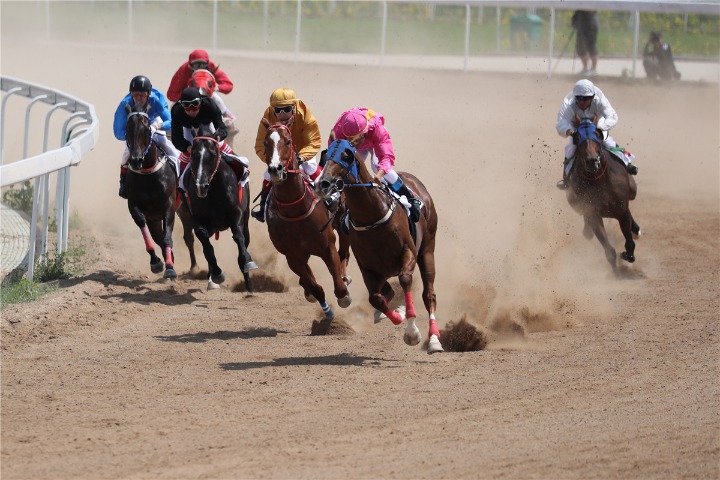 Hohhot equestrian events get off on right hoof