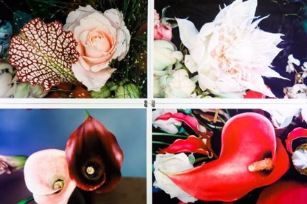 Profilic Japanese photographer showcases iconic flower series in Beijing
