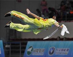 Martial arts competition held in Shanxi