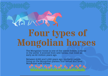 Infographic: Four types of Mongolian horses