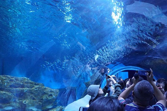 World's highest aquarium starts trial operation in Qinghai
