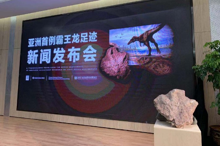 Scientists discover Tyrannosauripus in East China